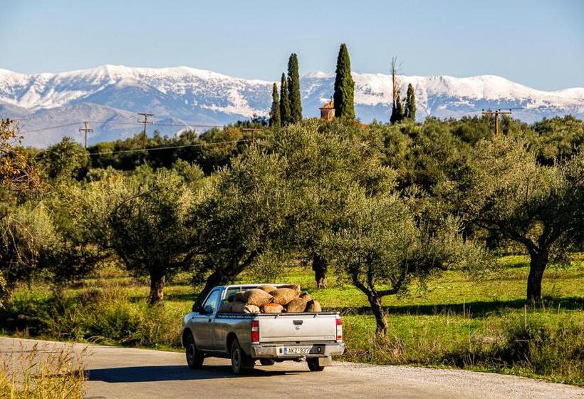 ホテル Taleton Eco Guest House