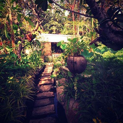 Hotel The Sundays Sanctuary Resort & Spa