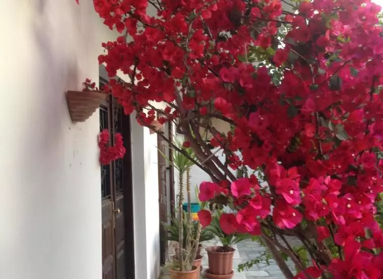 Mimoza Studios