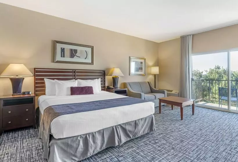 酒店 Best Western Plus Bayside