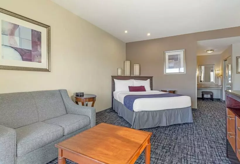 酒店 Best Western Plus Bayside