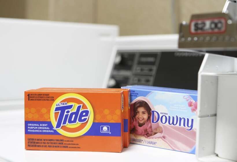 호텔 Best Western Plus Bayside