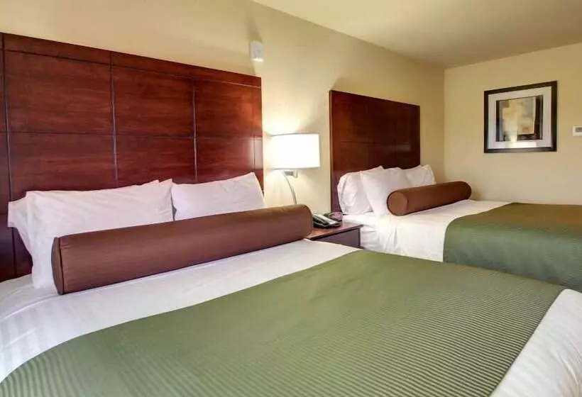 בית מלון כפרי Cobblestone Inn & Suites Bottineau