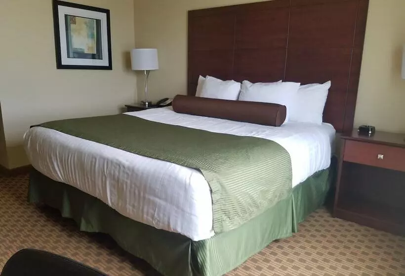 בית מלון כפרי Cobblestone Inn & Suites Bottineau