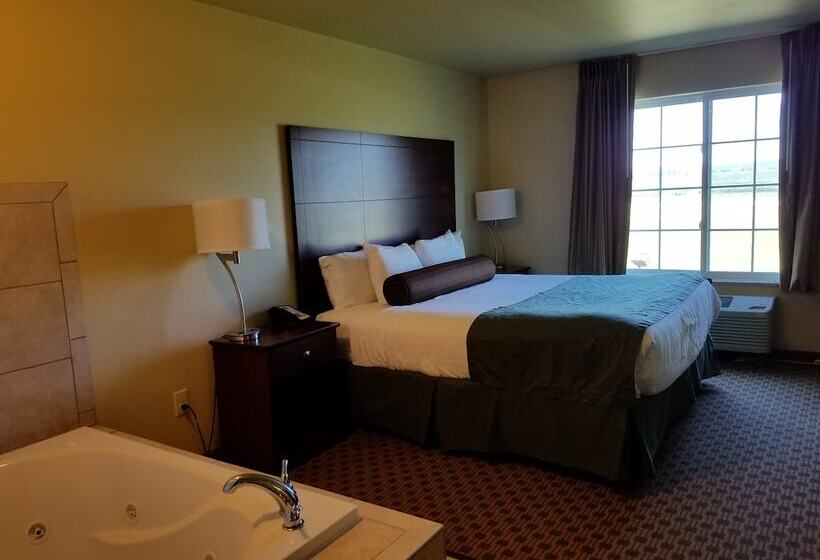 酒店 Cobblestone Inn & Suites Bottineau