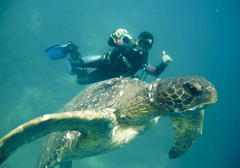 Отель Finch Bay Galapagos