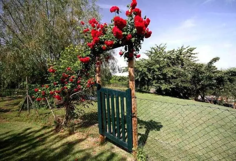 Сельский отель Agriturismo Molinuzzo