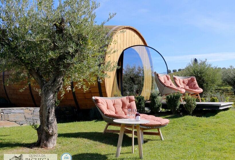 The Wine House Hotel Quinta Da Pacheca