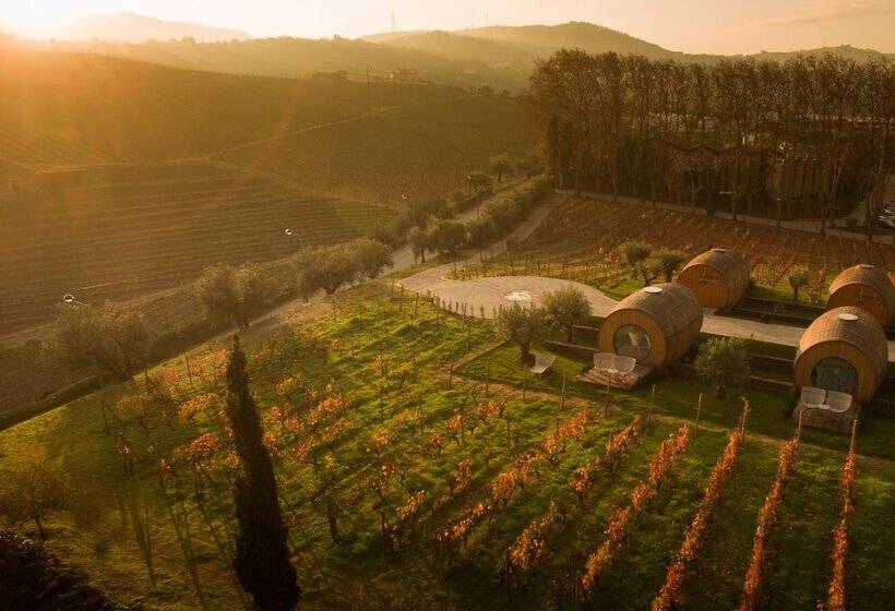 The Wine House Hotel Quinta Da Pacheca