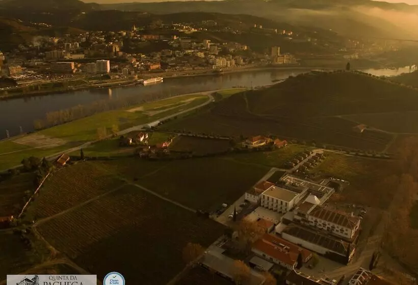 The Wine House Hotel   Quinta Da Pacheca