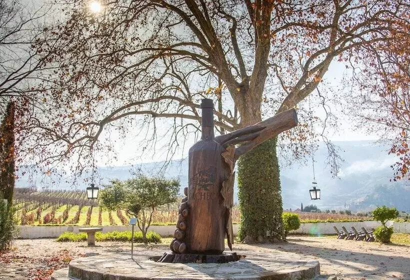 The Wine House Hotel   Quinta Da Pacheca
