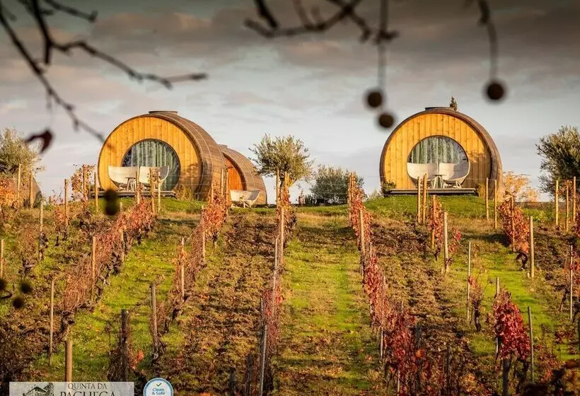 The Wine House Hotel   Quinta Da Pacheca