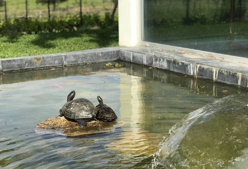 The Wine House Hotel Quinta Da Pacheca