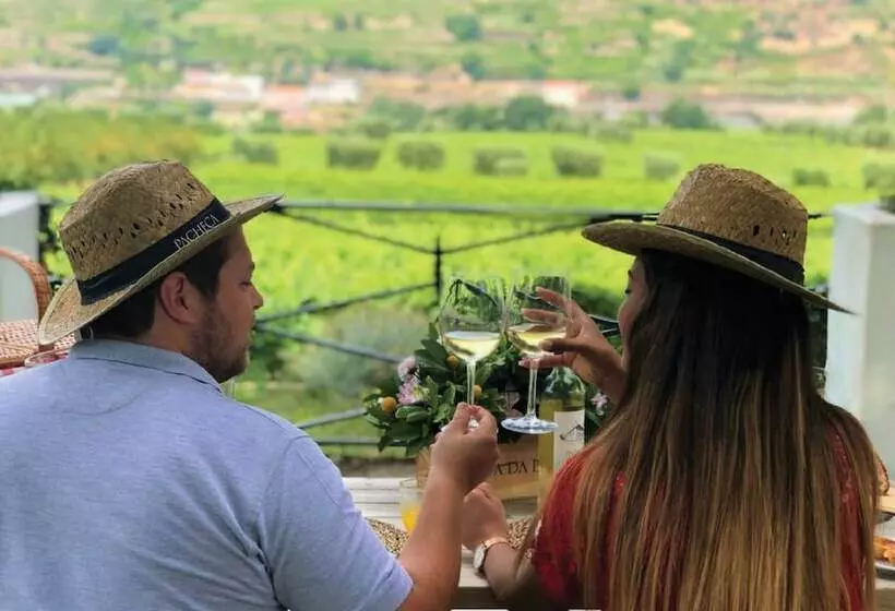 The Wine House Hotel   Quinta Da Pacheca