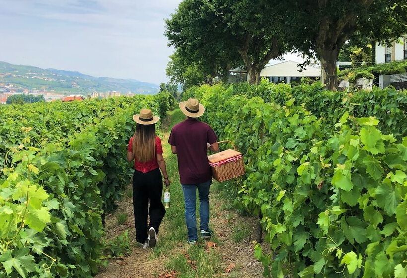 The Wine House Hotel Quinta Da Pacheca