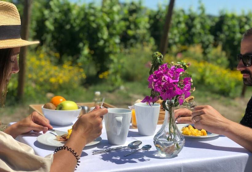 The Wine House Hotel Quinta Da Pacheca