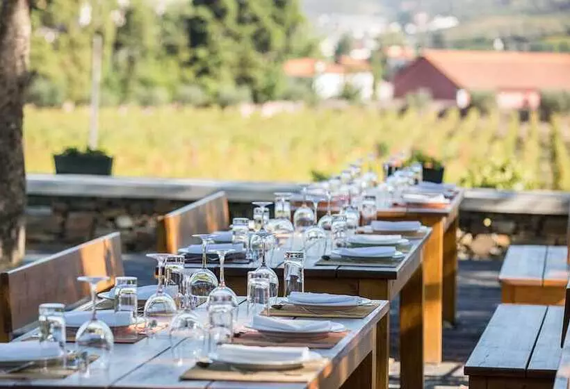 The Wine House Hotel   Quinta Da Pacheca