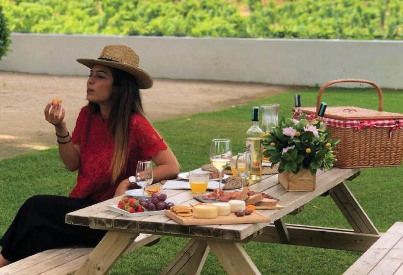 The Wine House Hotel Quinta Da Pacheca