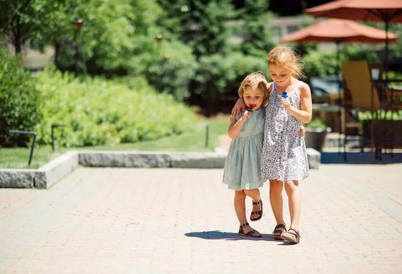 Отель Vermont Burlington