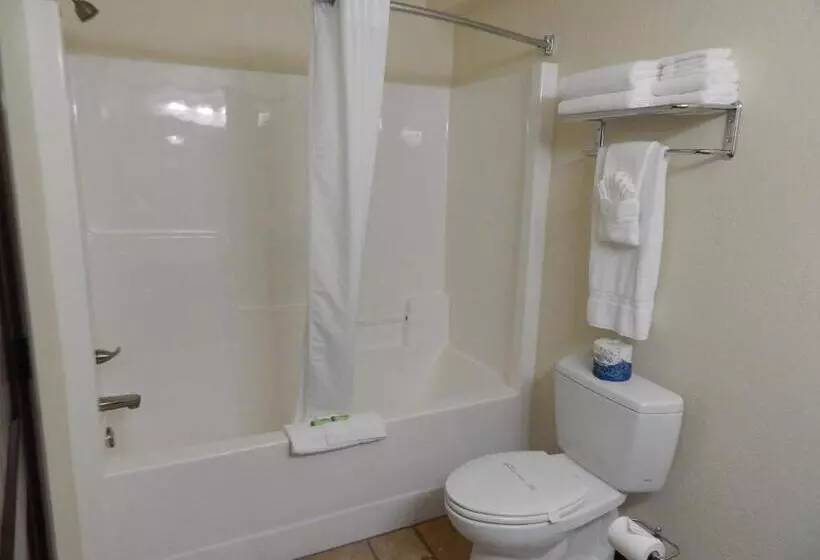 هتل Winterton Suites