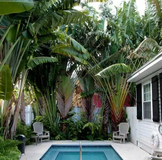 ホテル Kona Kai Oasis