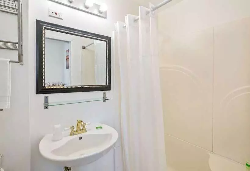 ホテル Kona Kai Oasis