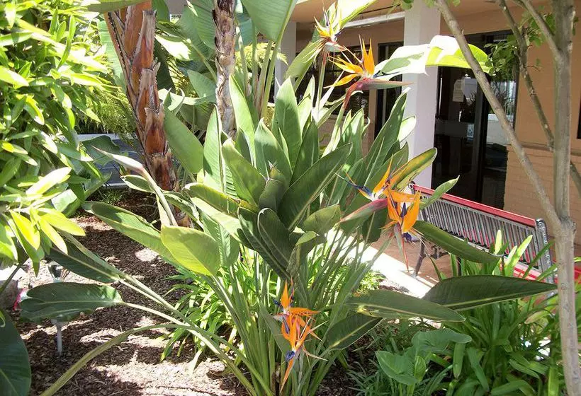 호텔 Camino Inn & Suites