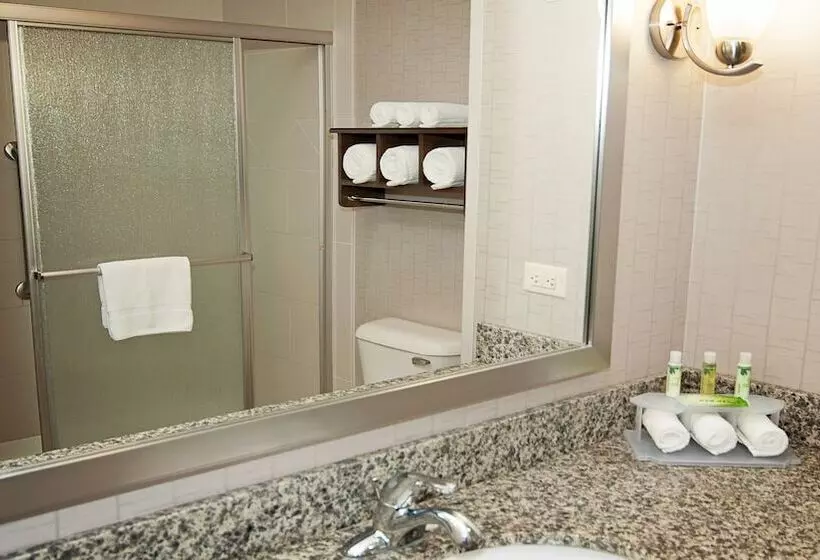 Holiday Inn Express Hotel & Suites Wichita Northeast, An Ihg