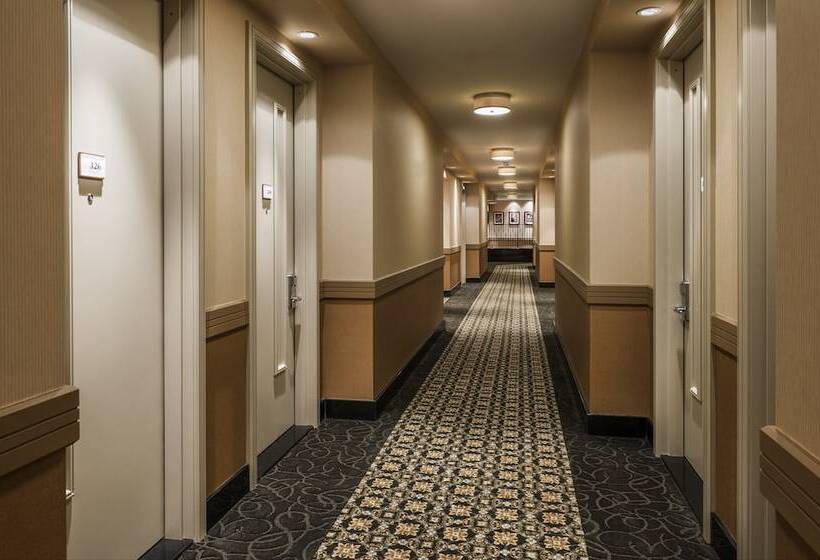 בית מלון כפרי Opera House