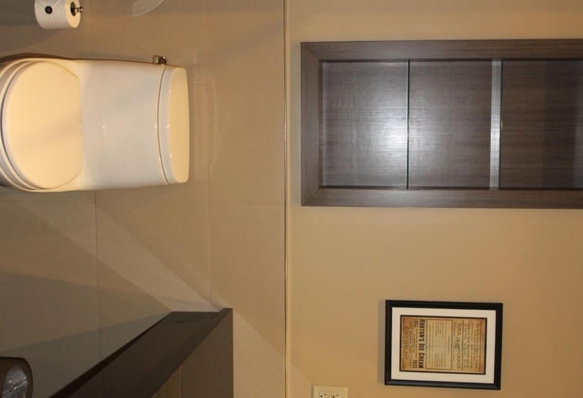 בית מלון כפרי Opera House