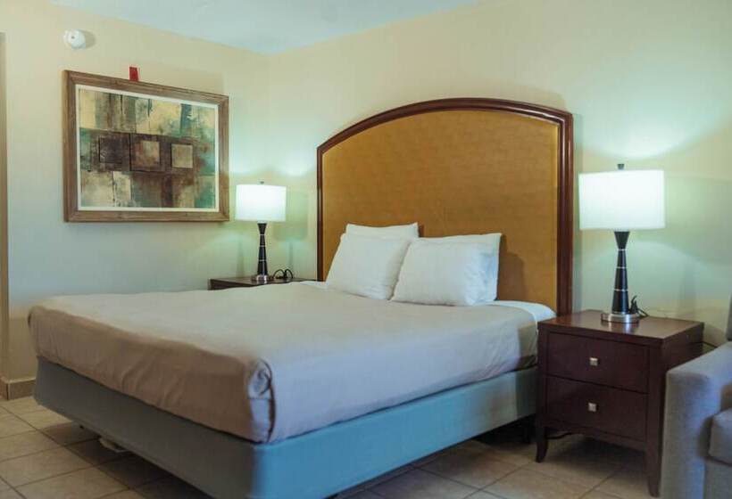 汽车旅馆  Serena Inn