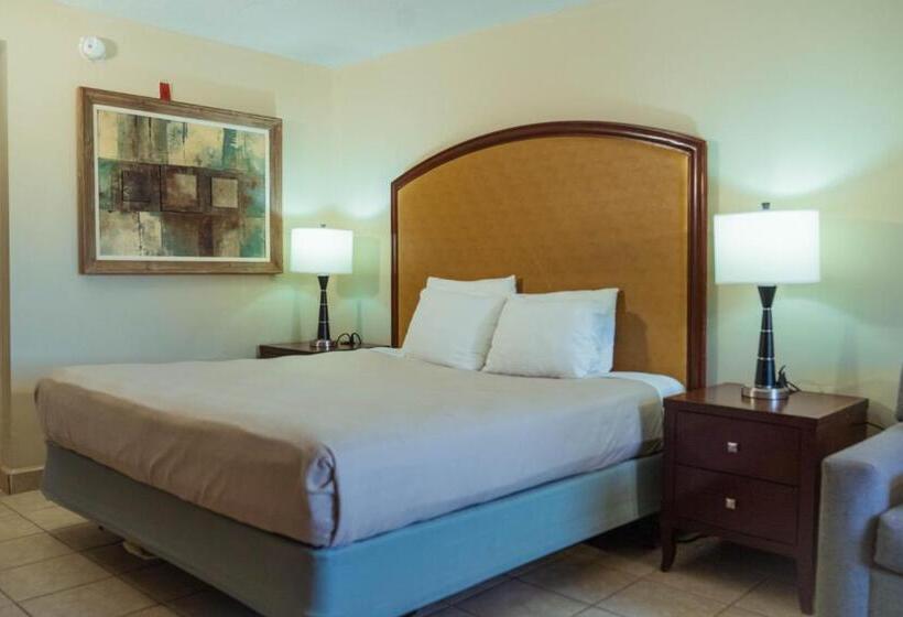 汽车旅馆  Serena Inn