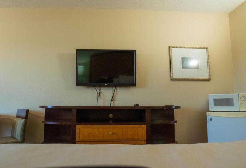 汽车旅馆  Serena Inn