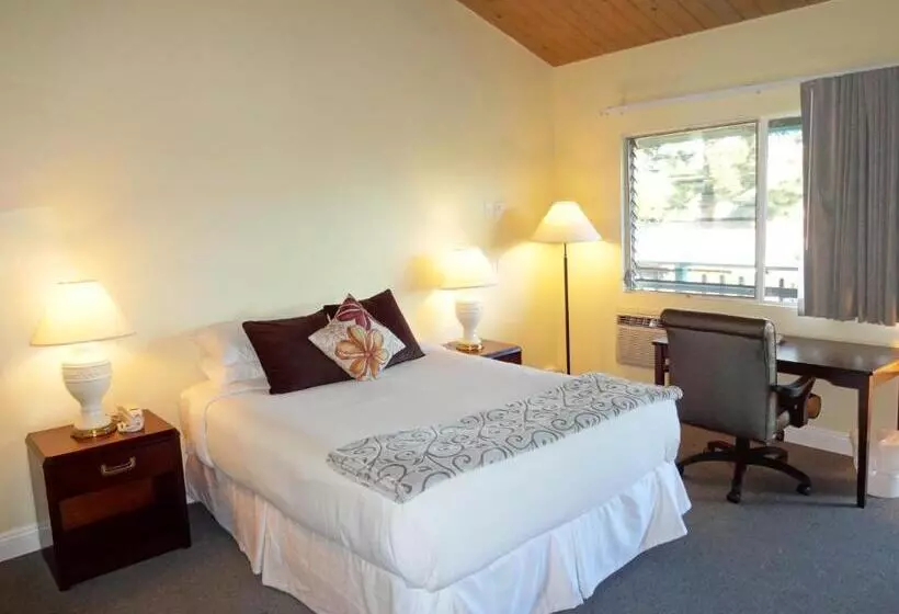 汽车旅馆  The Presidio