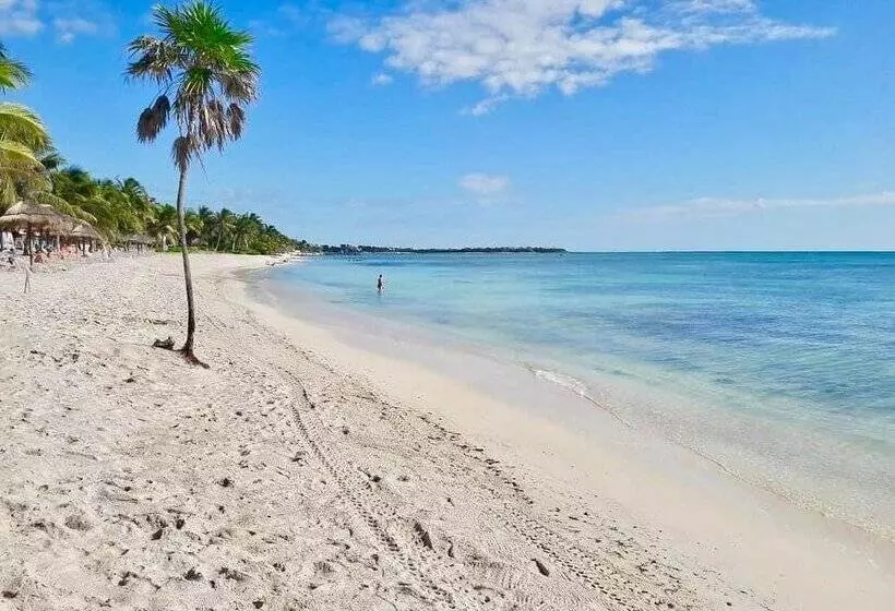 Pavoreal Beach Resort Tulum