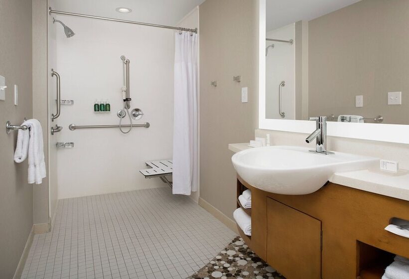 Springhill Suites By Marriott Jackson North/ridgeland