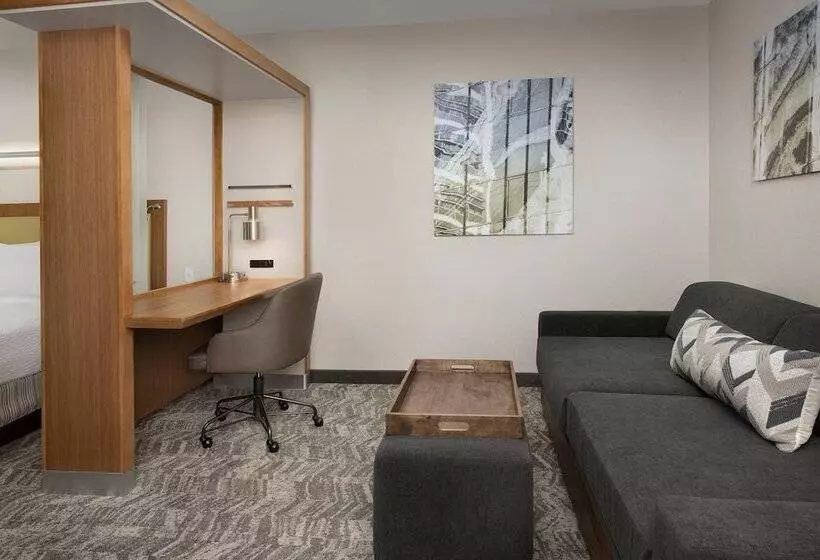 Springhill Suites By Marriott Jackson North/ridgeland