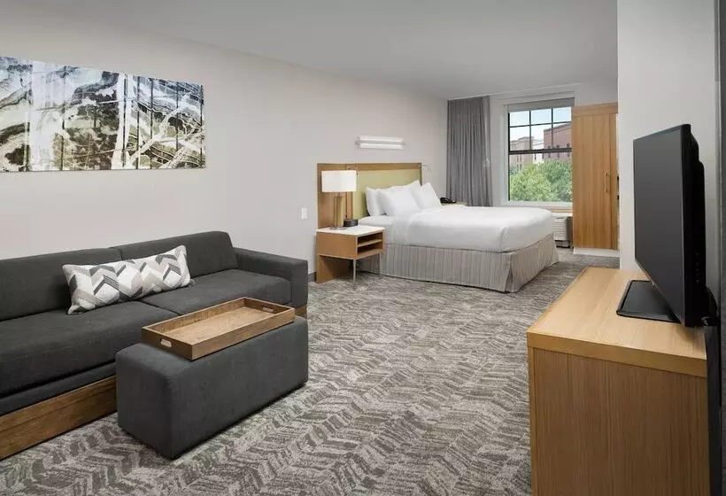 Springhill Suites By Marriott Jackson North/ridgeland