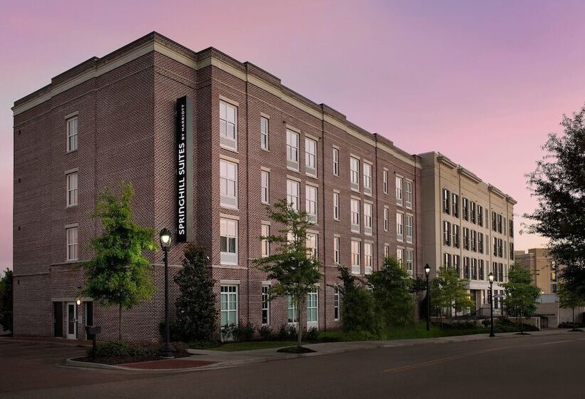 Springhill Suites By Marriott Jackson North/ridgeland