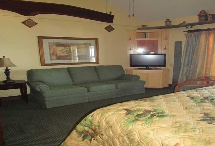 The Driftwood Resort