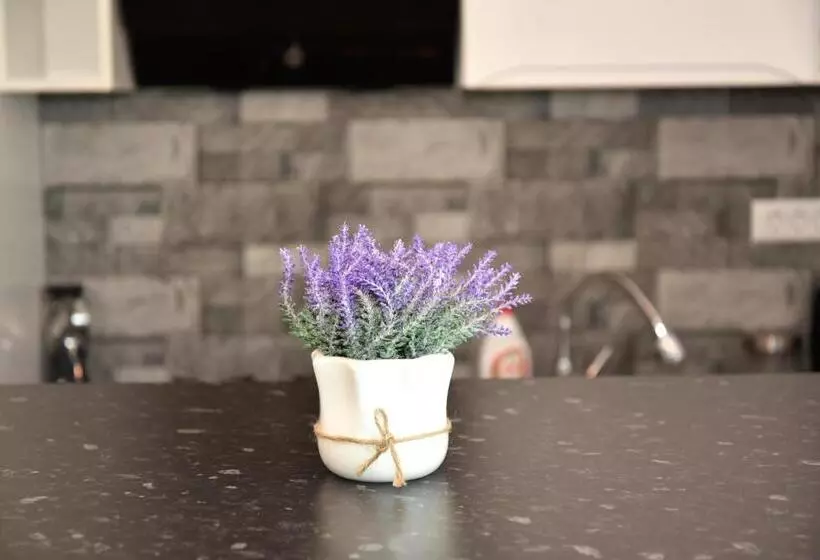 Aparthotel Dominic Residence