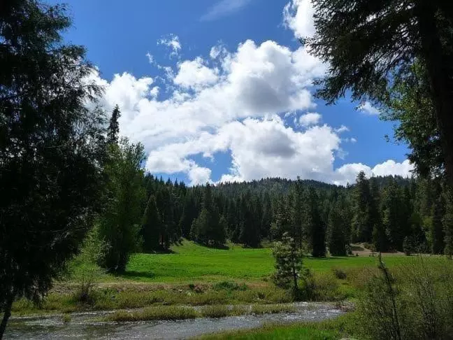 Aamiaismajoitus (B&B) Big Creek Inn