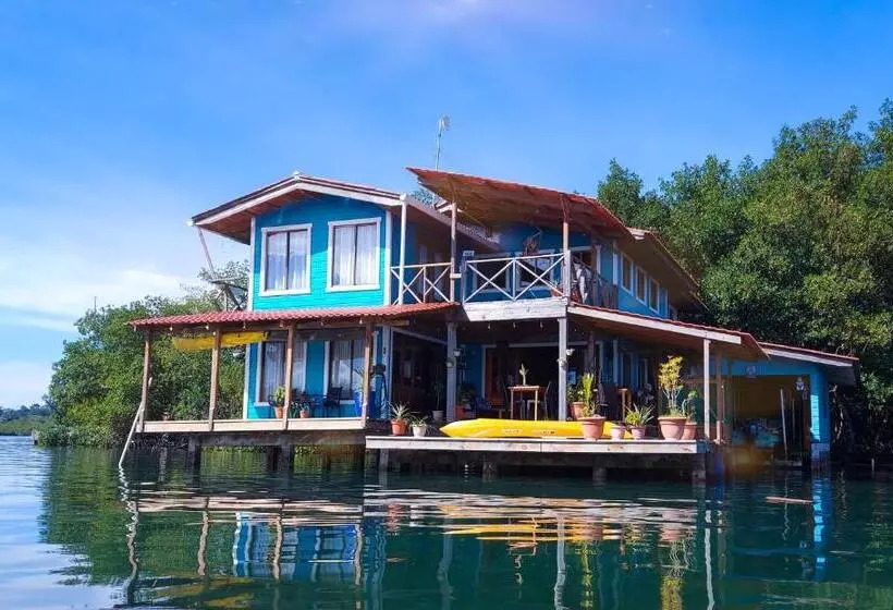 The Sunsetter Bed & Breakfast