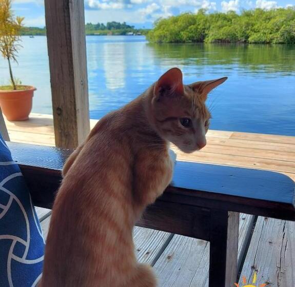 The Sunsetter Bed & Breakfast