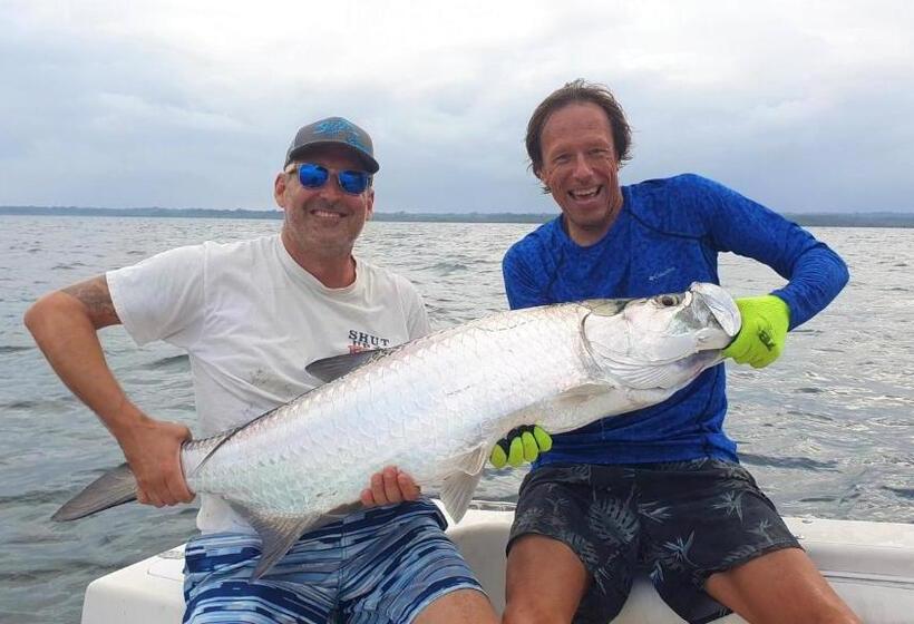 The Sunsetter Bed & Breakfast