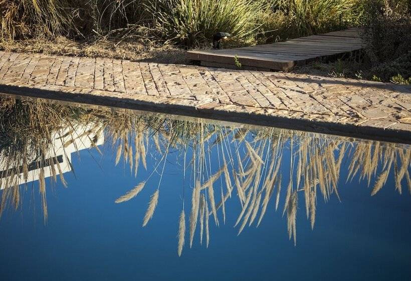 Hotel Explora En Atacama All Inclusive