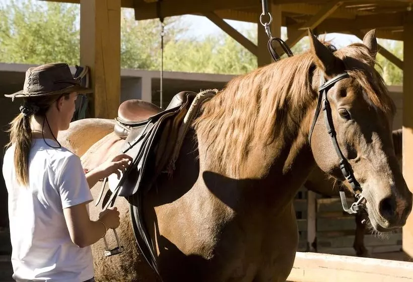 Otel Explora En Atacama All Inclusive