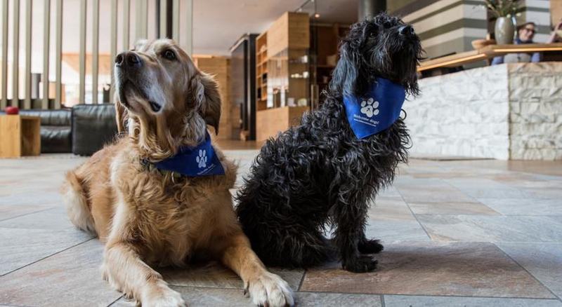 Falkensteiner Hotel Schladming