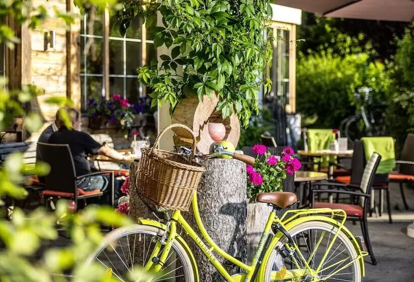 Отель Maximilian