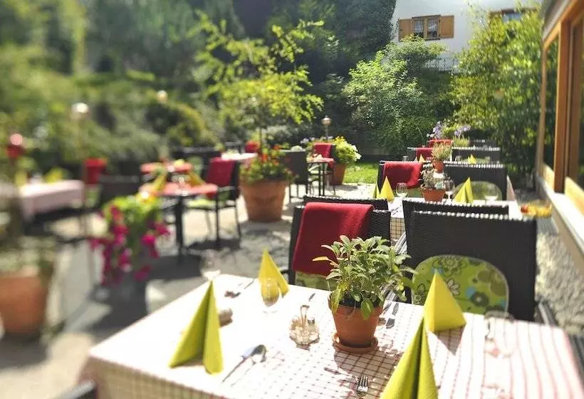 Отель Maximilian